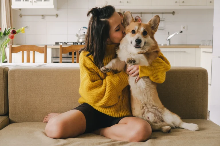 A brunet girl in a yellow sweater hugs a dog sitting on the couch