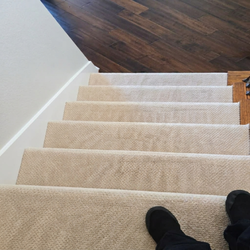 Carpet Cleaning Georgetown
