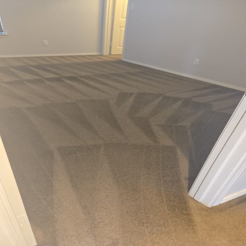 professional carpet cleaning with visible cleaning lines in a home in Austin TX
