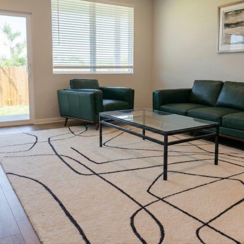 Before and after living room cleaning service in Austin TX with clean carpet and furniture