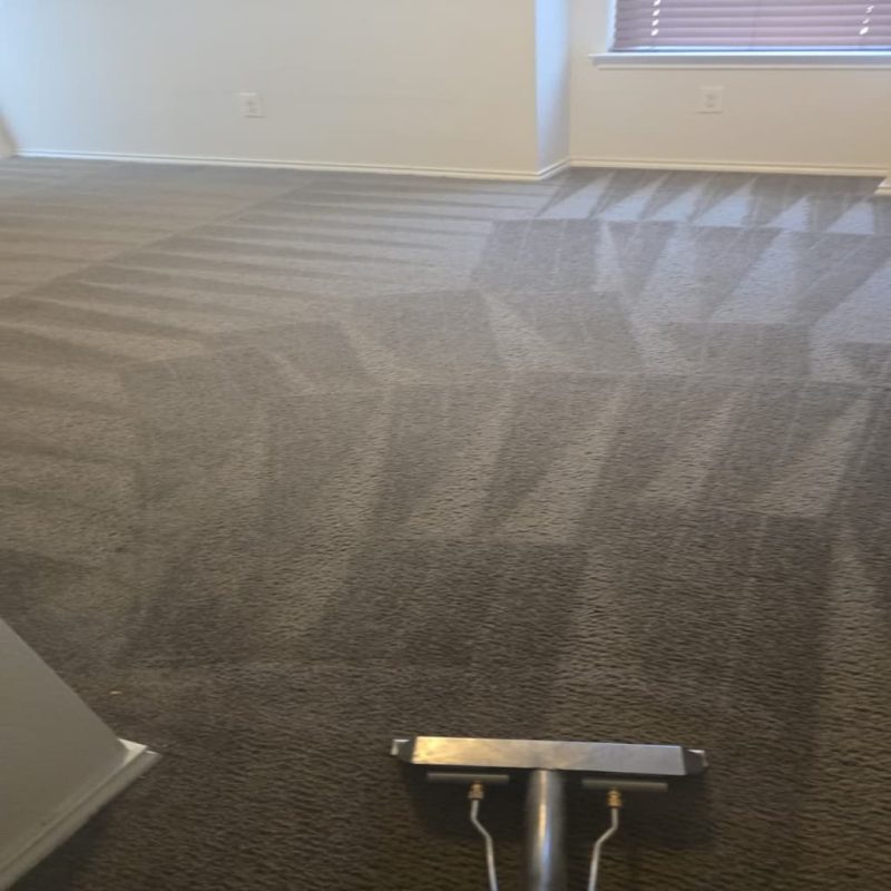 professional carpet cleaning service in Austin TX using extraction equipment with visible cleaning lines