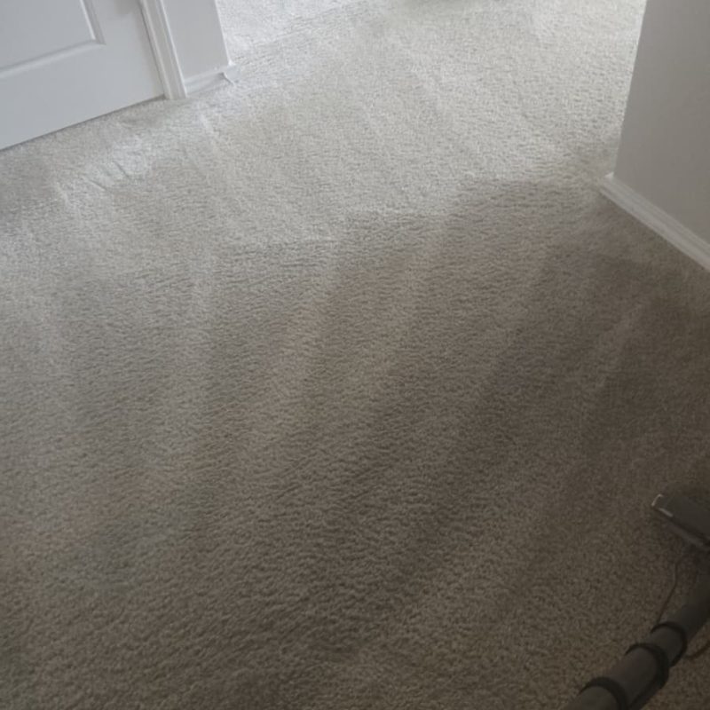Hallway and Bedroom Carpet Cleaning with Fresh Lines