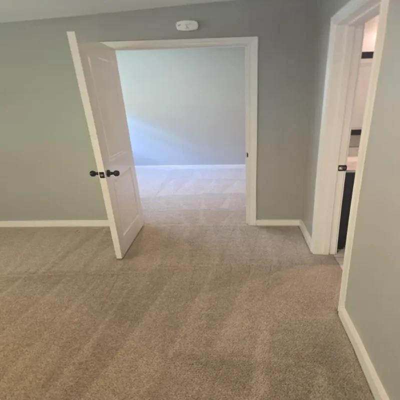 residential-carpet-cleaning-results-austin-tx.webp