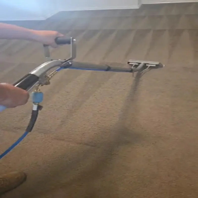 Professional steam carpet cleaning removing deep dirt and stains in a residential home in Austin TX