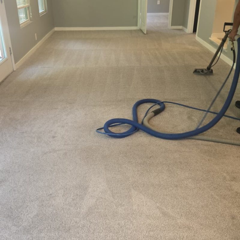 Deep carpet cleaning in a large living area using professional-grade equipment.